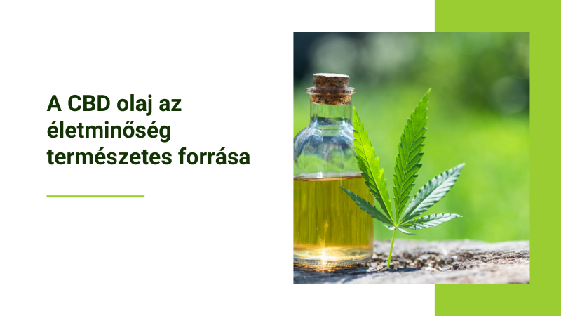 CBD olaj üvegben