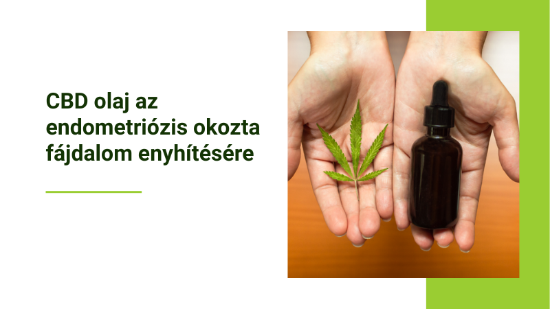 CBD olaj üvegben női kézben